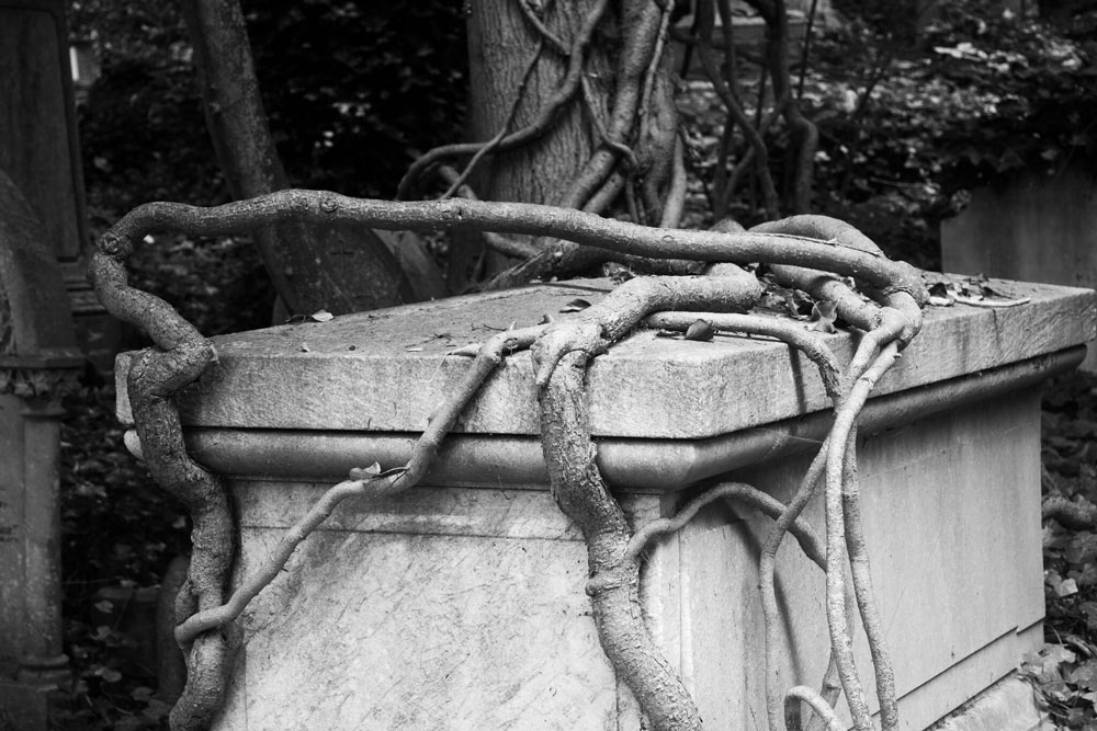 Catacombs in Highgate Cemetery