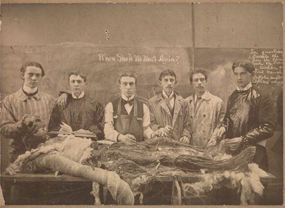 A Victorian mummy unwrapping session