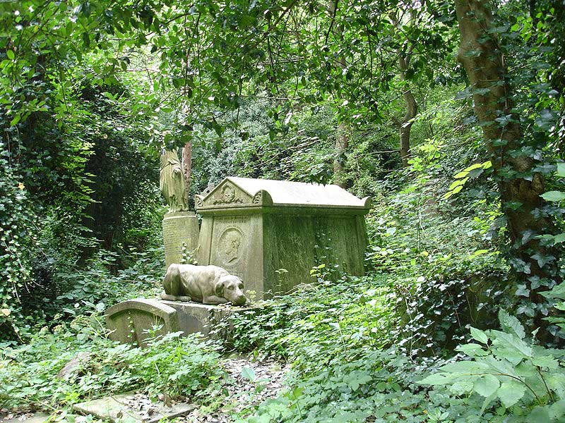 At the time of the Highgate Vampire, much of the cemetery was neglected and overgrown.