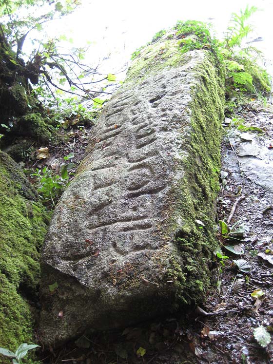 The Arthur Stone near Camelford, Cornwall
