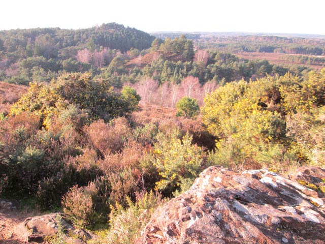 The Devil's Jumps, near Frensham, supposedly created by the Devil as he fled with Mother Ludlam's cauldron