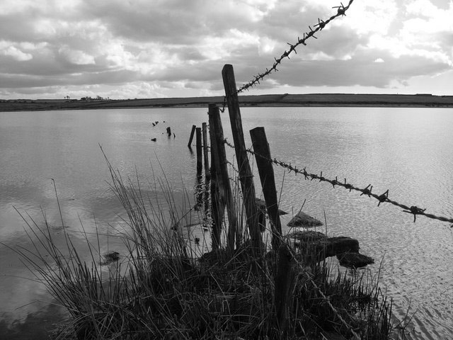 Dozmary Pool - the home of a witch's ladder?