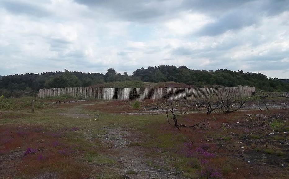 Round barrows on Frensham Common, Surrey