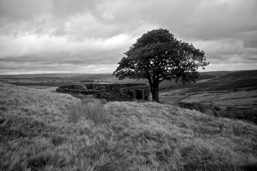 Top Withens Wuthering Heights Emily Bronte