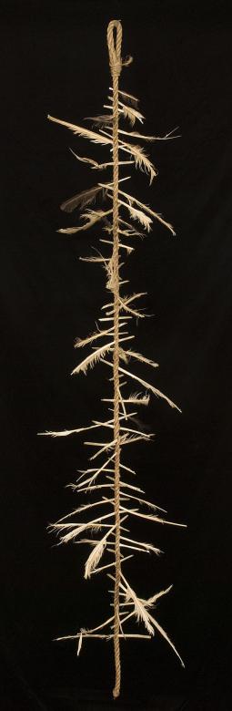 Witch's ladder discovered at the old Wellington house, now in the Pitt Rivers Museum
