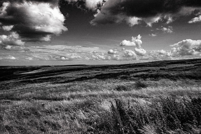 Yorkshire moors