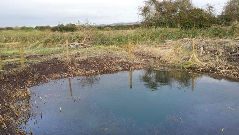 A knucker hole on the Stomping Estate, Sussex, England