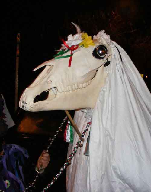 Mari-lwyd