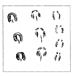 Thomas Fox's sketch of 'rat prints' - similar to the Devil's Footprints of Devon?