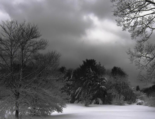 The Devil’s Footprints – Devon’s Diabolical Hoofmarks in the Snow