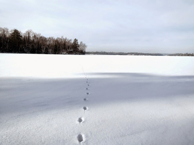 Might a strange weather phenomenon have caused Devon's Devil's Footprints?