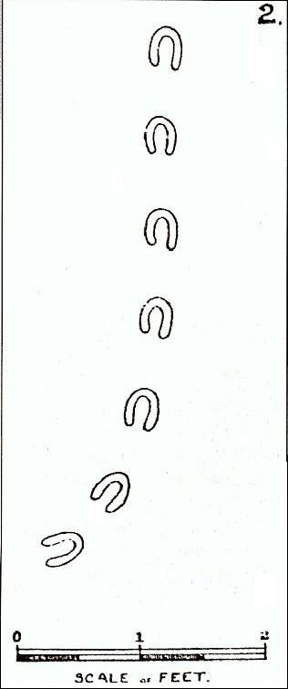 Devil's Footprints as sketched by South Devon