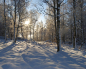 devils footprints in snow
