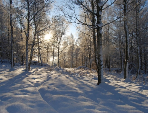 The Devil’s Footprints – Devon’s Diabolical Hoofmarks in the Snow