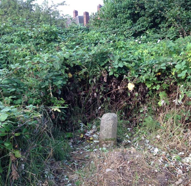 The Devil's Leap Stone - also known as the Devil's Toenail - in a field near Marston Moreteyne Churchyard, Bedfordshire, England