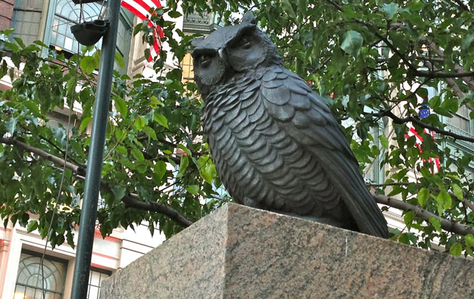 One of James Gordon Bennett Junior's rescued owls in Herald Square, New York