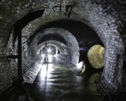 Wild pigs were said to live in the sewers under Hampstead, London