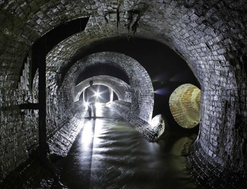 The Monstrous & Terrifying Wild Pigs of Hampstead’s Sewers