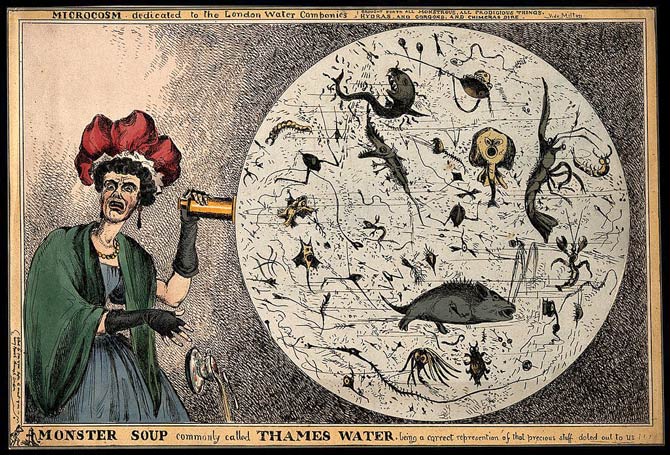 Monster Soup - Commonly Called Thames Water, by William Heath 1828. A woman drops her teacup in horror after a microscope shows her its impurity.